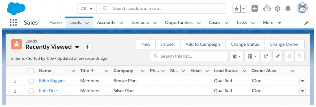 Leads in Salesforce