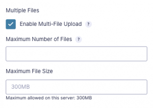 Gravity Forms File Upload Pro