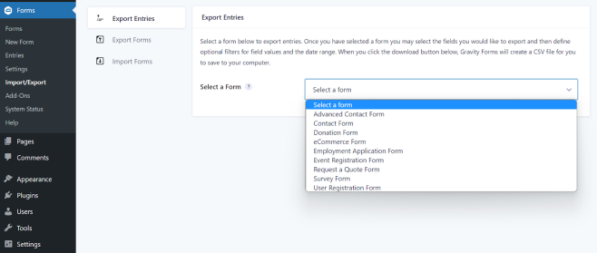 Gravity Forms Export Entries tab