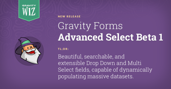 Introducing Gravity Forms Advanced Select | Gravity Wiz