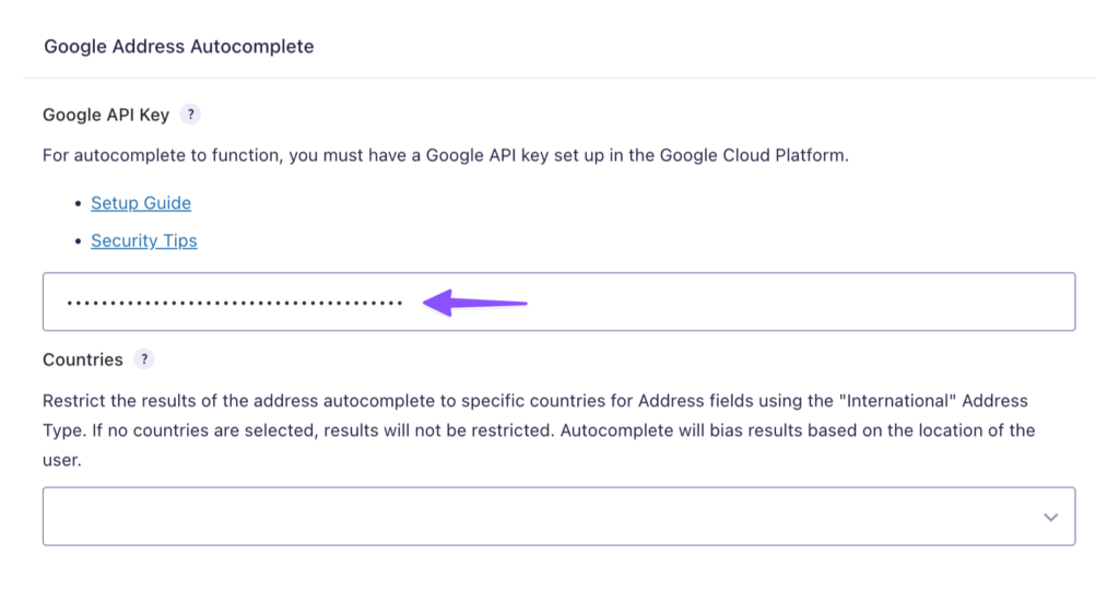 Screenshot of the 'Google API Key' field in the Google Address Autocomplete settings page with the API key entered.