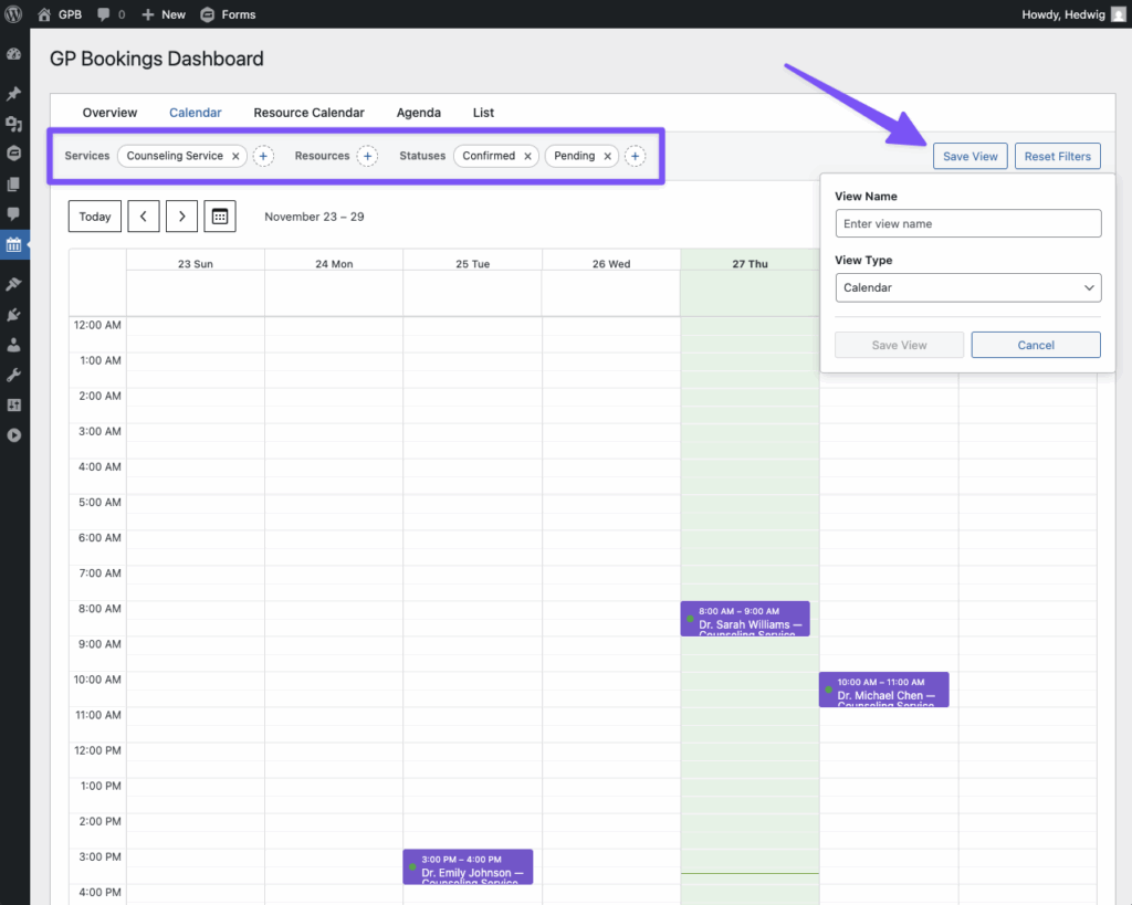 Creating a custom view with user-selected filters